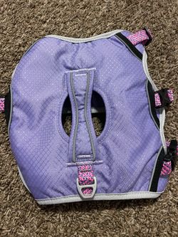 Small purple dog harness