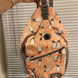 Laptop Carrier Backpack 
