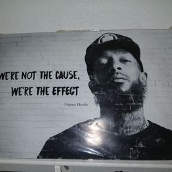 Un framened nipsey aprox 24in × 36in