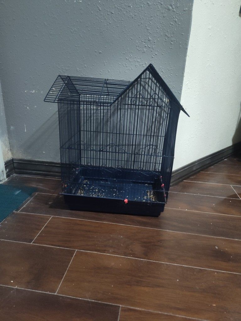 Bird Cage