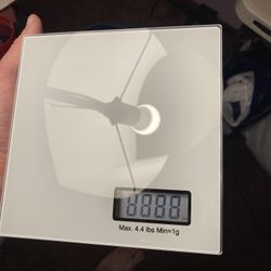 Food scale 