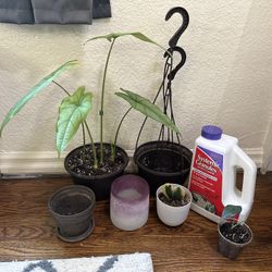 Plant Bundle