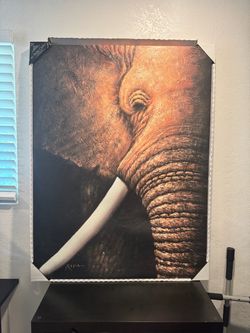Large elephant canvas wall art - 36”