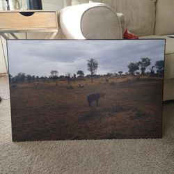 Africa Hyena Wall Hanging