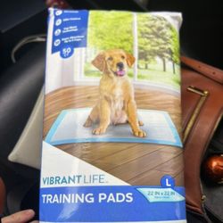Dog Pee Pads Large Size ( 50 Count ) $10 Each 