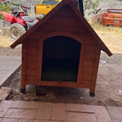 Dog House 