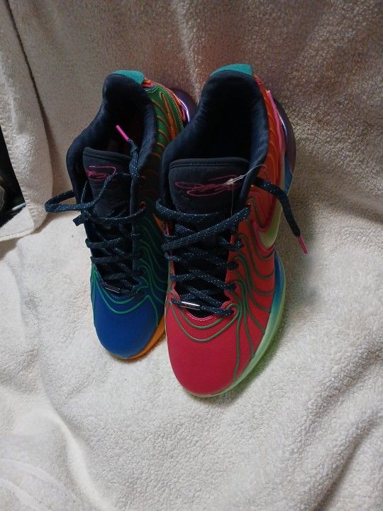 Nike Labron XXI