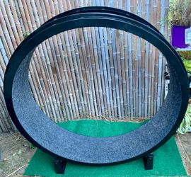 Exercise Wheel for Cats