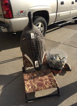 Blind and 17 tiel decoys