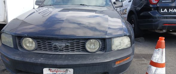 Mustang