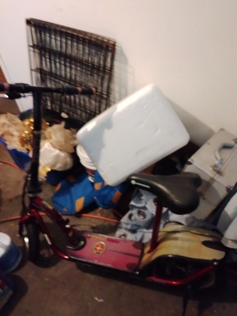 Electric Scooter