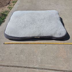 Large dog bed!