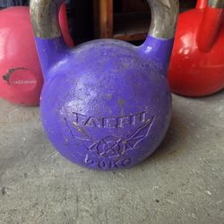 20 Kilo Competition Kettlebell 