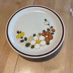 Vintage Dinner Plates 