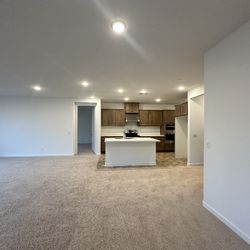 Carpet 