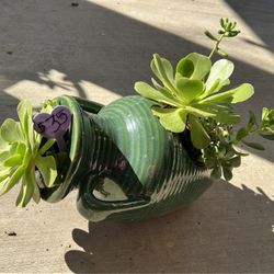 Beautiful Succulent Planter