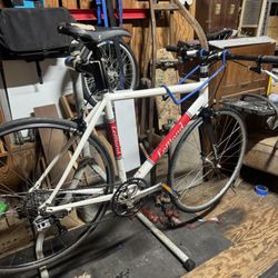 LeMond Reno Road Bike ML Frame