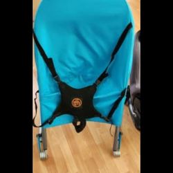 Special Needs Bouncy Chair