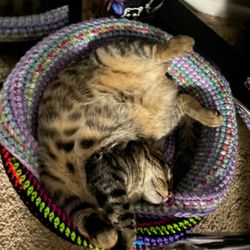 Custom Crocheted Beds!