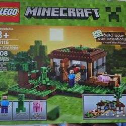 Minecraft Lego Set