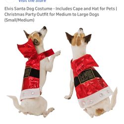 Pet Costume 