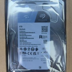 Seagate Surveillance 6TB