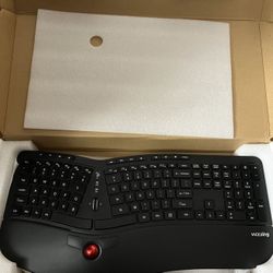 Victsing Ergonomic Wireless Keyboard 