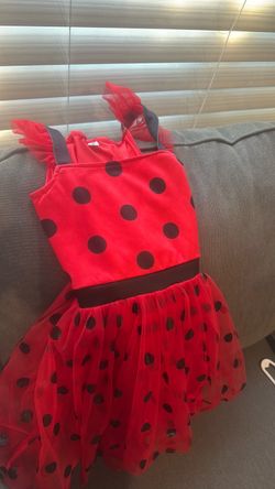 Ladybug costume
