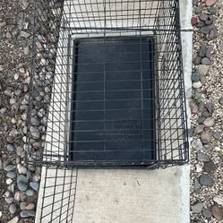 Black Dog Cage 