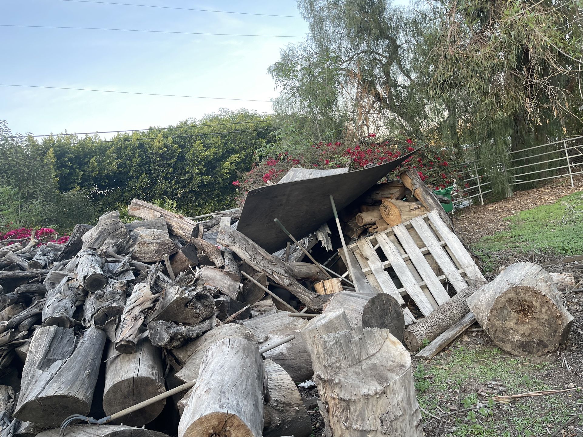 Free Firewood 🪵 - Big Pieces
