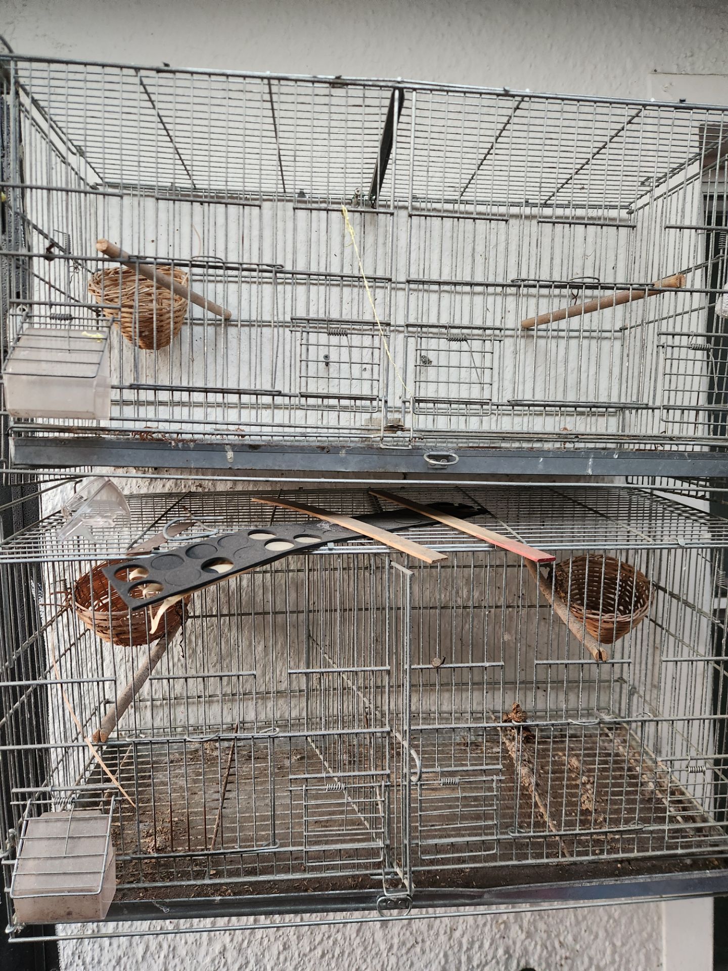 Bird Cages