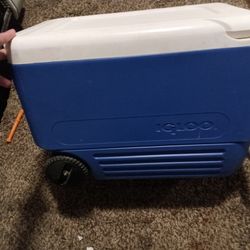 Ice Chest 