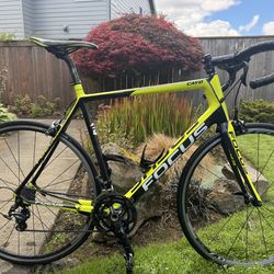 Focus Cayo Evo — Carbon Road Bike,