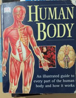 DK Human Body: An Illustrated Guide