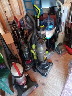 Vacuum Cleaners And Shampoos