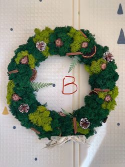 16” Preserved Moss Christmas Wall Art