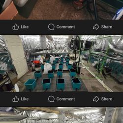 Grow EQUIPMENT AIRCUBE 24 SITE SYSTEM, 3 LIGHTS, 2 AC INFINITY HUMIDIFIERS, 4 6INCH AC FANS, 3 AC INFINITY WIFI&BT SYSTEMS, 2 AC INFINITY EXHAUSTS, 