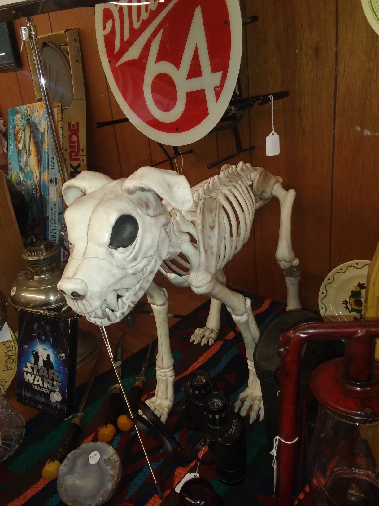 Plastic dog skeleton