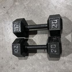 20lb Dumbbells 