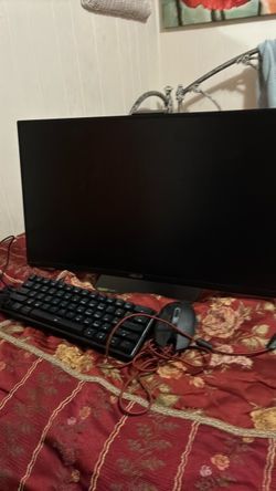 Gaming monitor asus 165hz