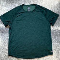 American Eagle Outfitters Green Short Sleeve Gym Tee 