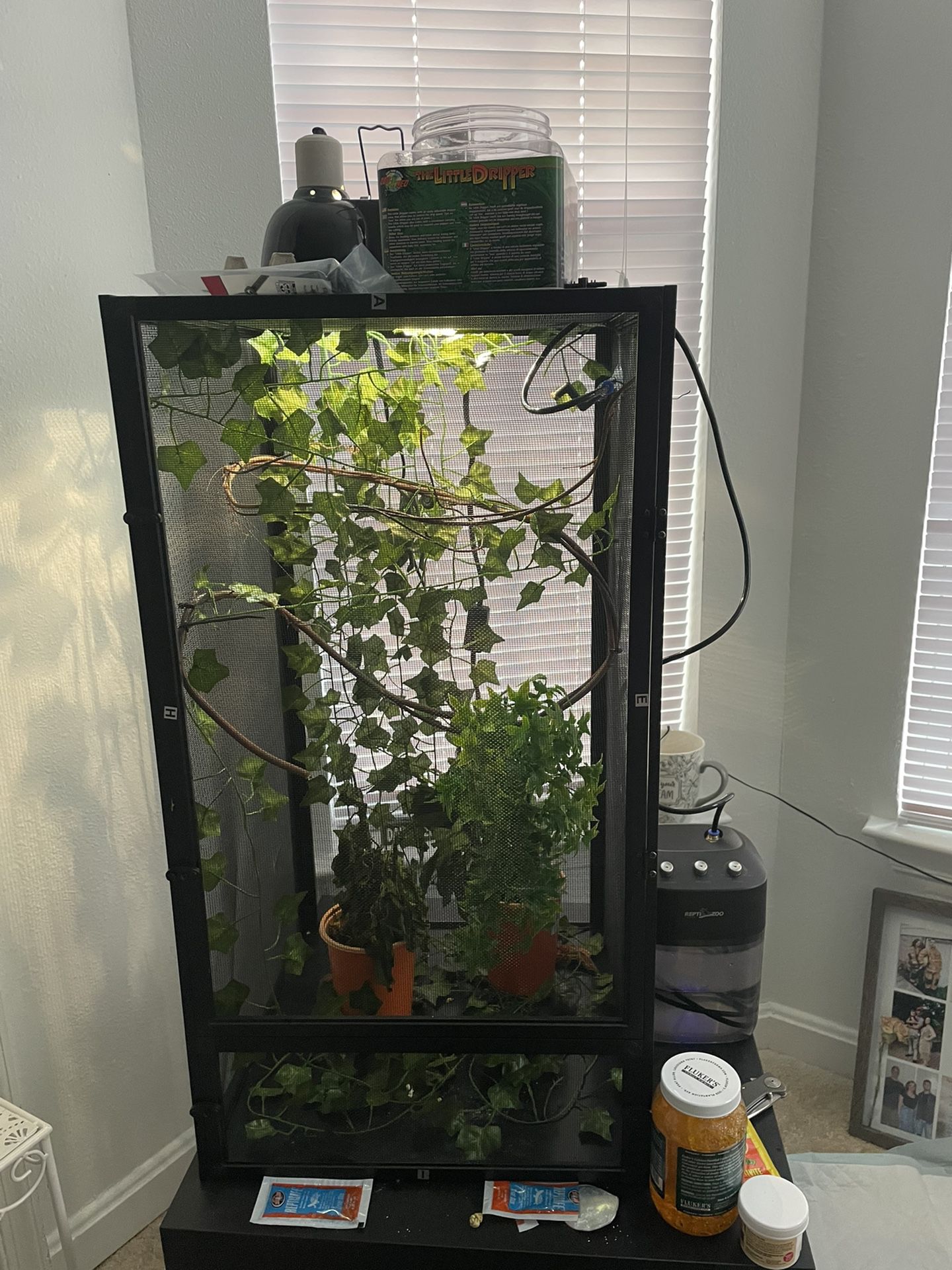 Chameleon Habitat And Supplies And Mister 