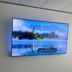 60 Inch LG OLED ( READ DISCRIPTION!!!)