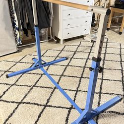 Adjustable gymnastics bar and Matt