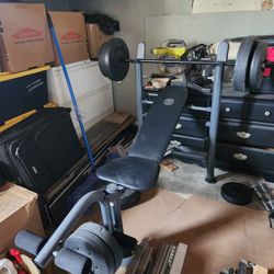 Golds Gym Weight Bench With Weights