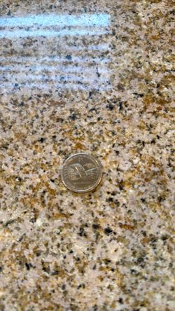 1 dollar coin