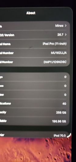 Apple iPad pro