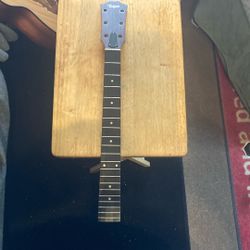 Taylor Neck 
