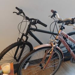 Selling 2 Brand New Adult Bikes