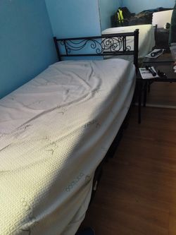 Cama individual $50